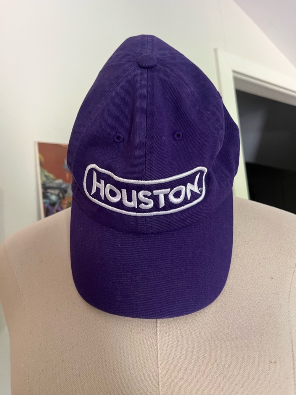 Houston Purple Cap